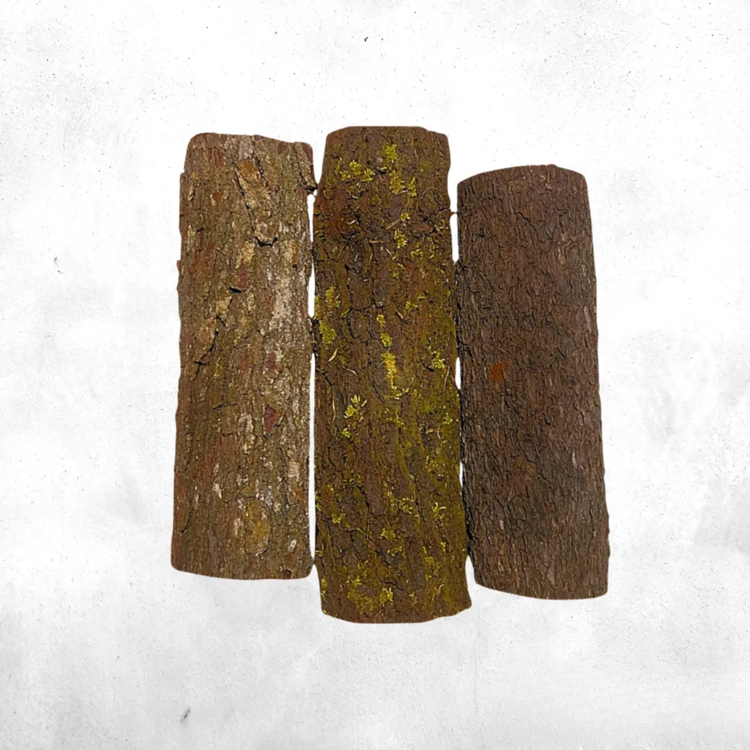 Kulit kayu pinus